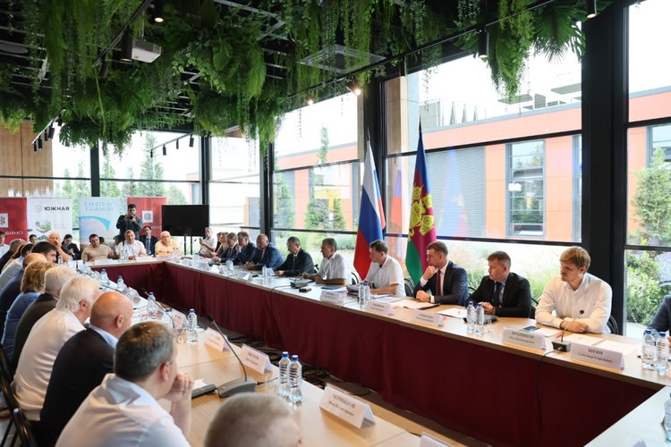 Кубань может увеличить площади плодоносящих виноградников более чем в два раза к 2035 году