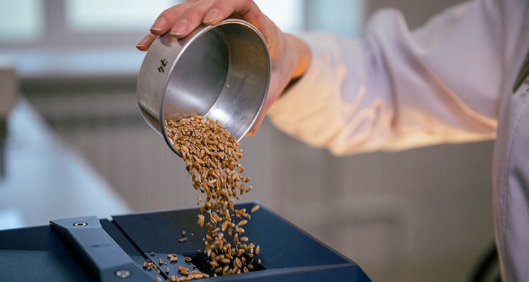 В Калмыкии завершен госмониторинг зерна 2025: итоги 