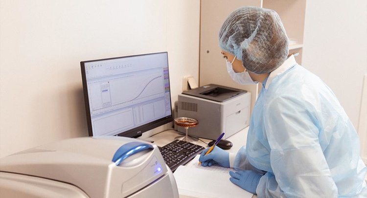 Крупную партию продовольственного ячменя загрязнил опасный микотоксин