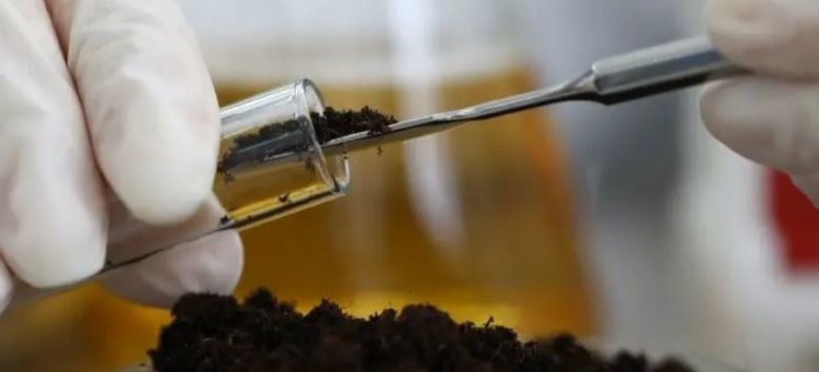 Как фосфорные инокулянты помогают сохранить инвестиции в фосфорные удобрения