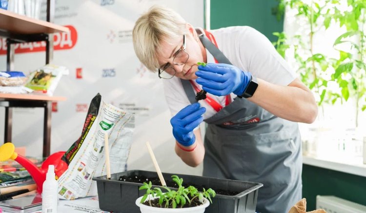 Лучший овощевод России 2025 в одночасье становится миллионером