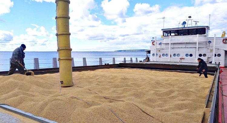Ячмень часто путешествует водным транспортом