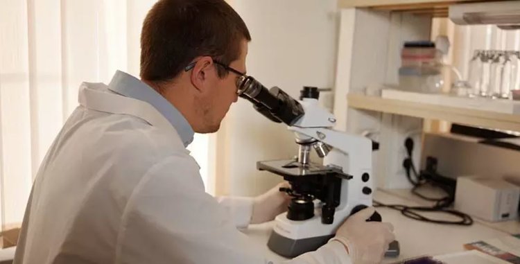 Ключи к продуктивному долголетию сельхозживотных ищут уральские ученые