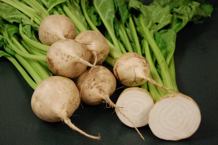 Урожай сахарной свеклы в Пензенской области превысил полмиллиона тонн