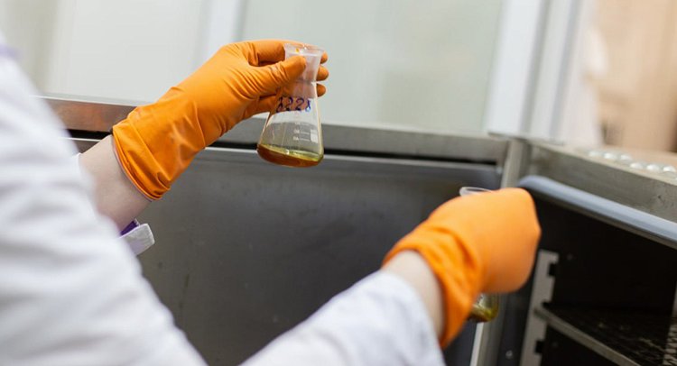 Алтайские почвы в этом году поправили здоровье