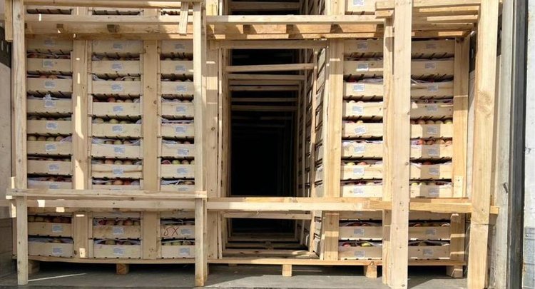 Эксперты Омского филиала ЦОК АПК спасают чужой урожай для российских прилавков