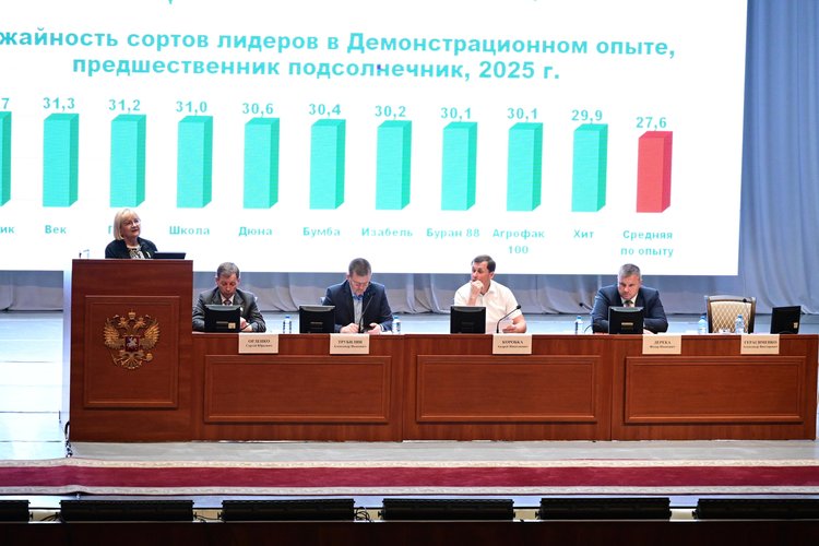 Сев озимой пшеницы в сложных условиях: ключевой совет Людмилы Беспаловой из НЦЗ имени Лукьяненко