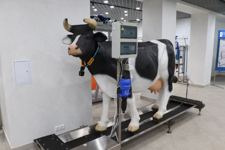 Доильное оборудование из Беларуси появится в алтайском агроклассе 