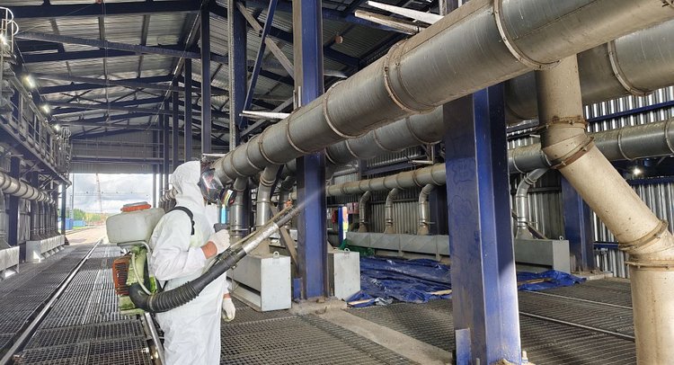 Впервые для защиты зерна от птиц в Санкт-Петербургском филиале ЦОК АПК использовали репелленты