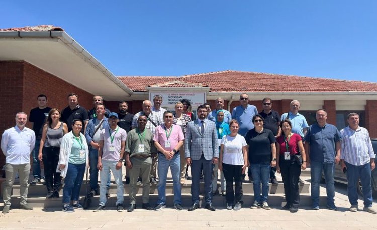 Защиту пшеницы от почвенных патогенов и изменения климата обеспечивает международное сотрудничество