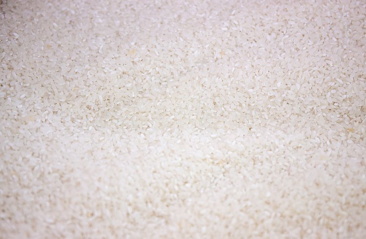 Приморские рисоводы отмечают повышенную урожайность в текущем сезоне