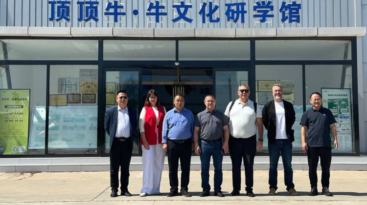 Что отметила делегация Татарстана на международной выставке сельхозпродукции CIFA в Китае