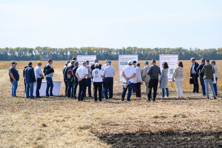 В Самарской области состоялась научно-практическая конференция по выращиванию сои