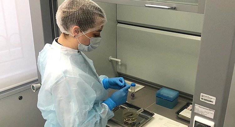 Донские аграрии стали чаще отправлять образцы ППЖ на проверку в ЦОК АПК