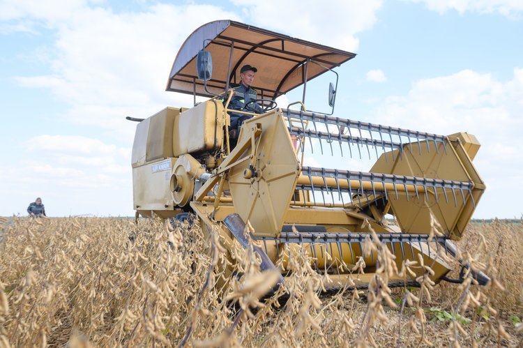 Самарские встречи