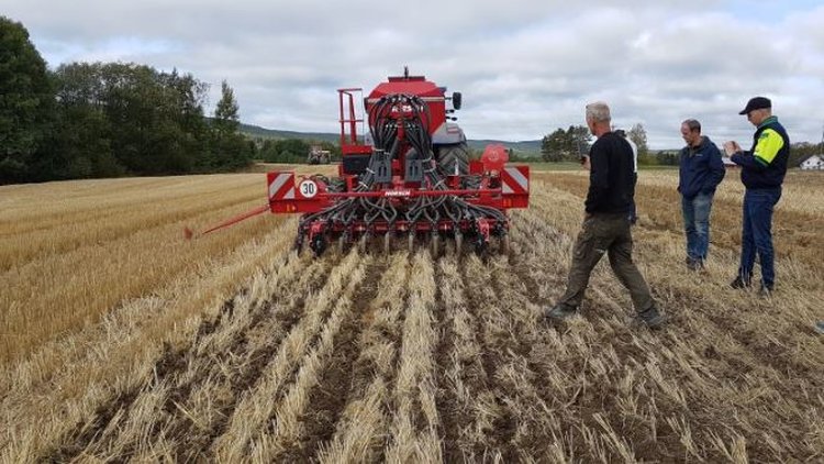 Климатически устойчивое выращивание озимой пшеницы разрабатывается в Норвегии