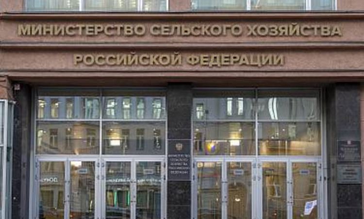 Приоритетные направления науки для рыбохозяйственного комплекса озвучила глава МСХ РФ