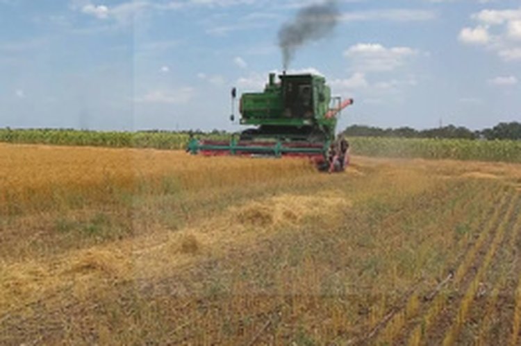 Вологодские аграрии запрессовали 2,3 тысячи тонн отличной льнотресты