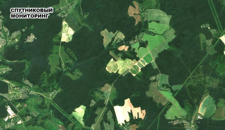 Цифровые технологии для подмосковных полей «МОй АПК» будут представлены на «Золотой осени - 2025»