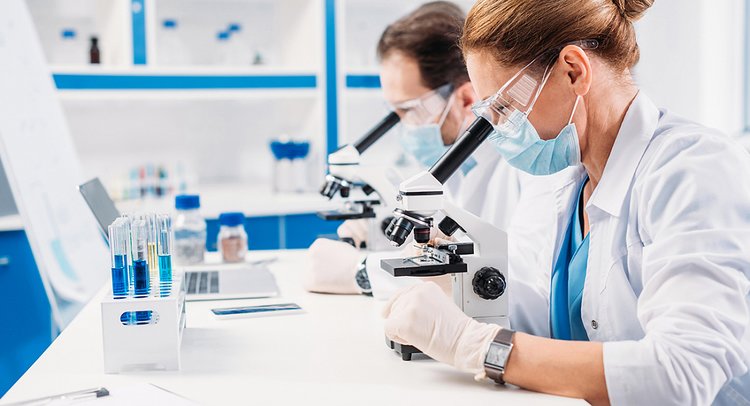 О самых необычных исследованиях рассказали в Красноярском филиале ЦОК АПК