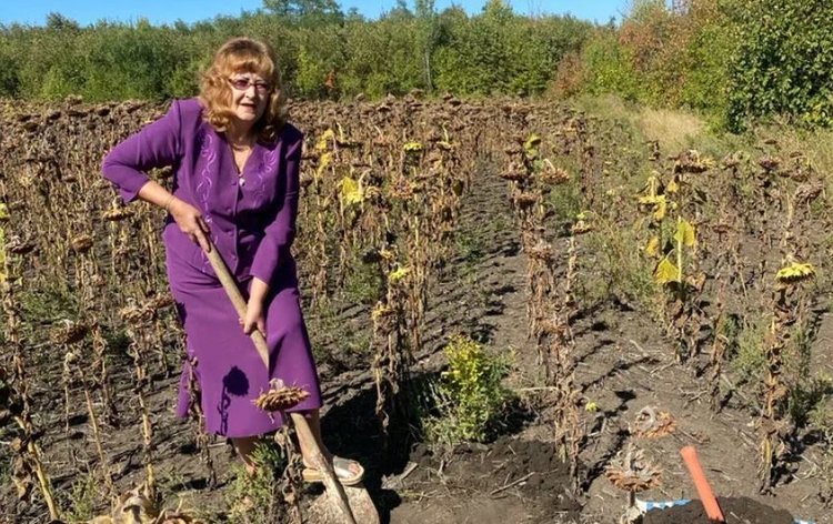 Никто не спрячется. Агрономы Россельхозцентра в ЛНР скоро начнут осенние раскопки