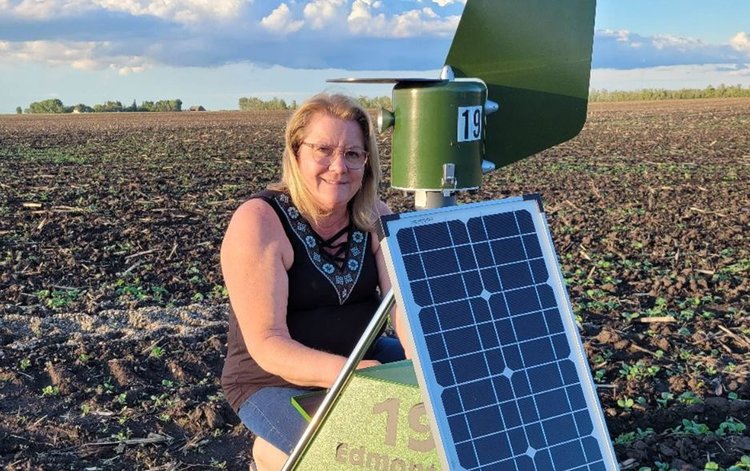 Ловля спор фитофторы набирает популярность в канадском картофелеводстве