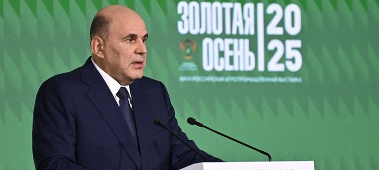 Эксперт Тимирязевской академии озвучил Мишустину условие для прорыва в российском семеноводстве