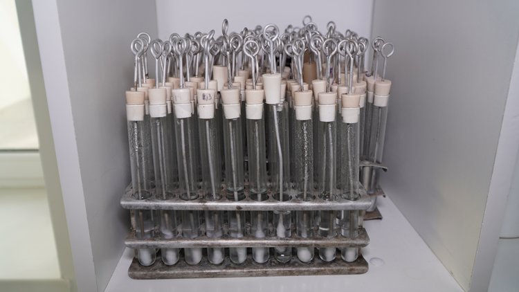 Что находят эксперты при проверке органических удобрений