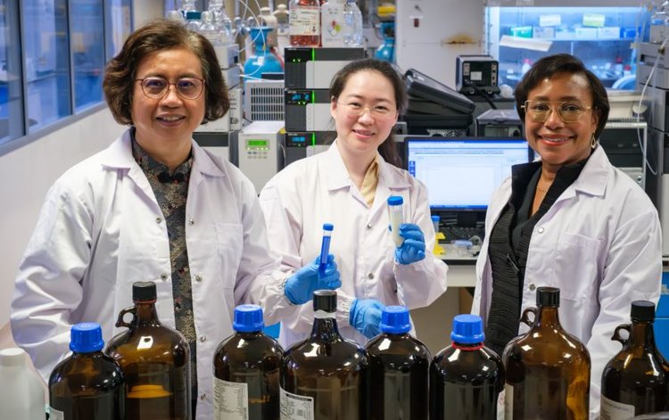 Для профилактики мастита у коров разработаны принципиально новые препараты