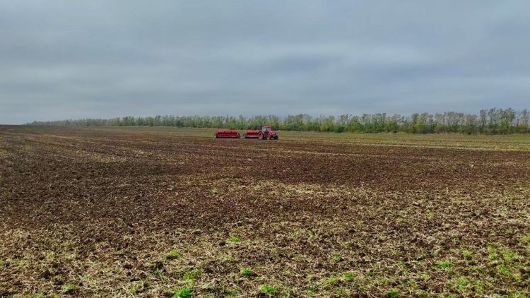В Ставропольском крае начались испытания нового удобрения для озимой пшеницы