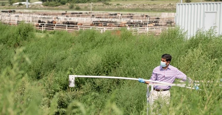 Свиноводство вступает в эру глубокой переработки навоза с новой технологией