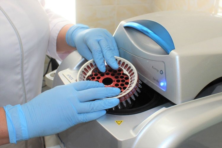 Более 35 тысяч тестов подтвердили отсутствие АЧС в Ростовской области