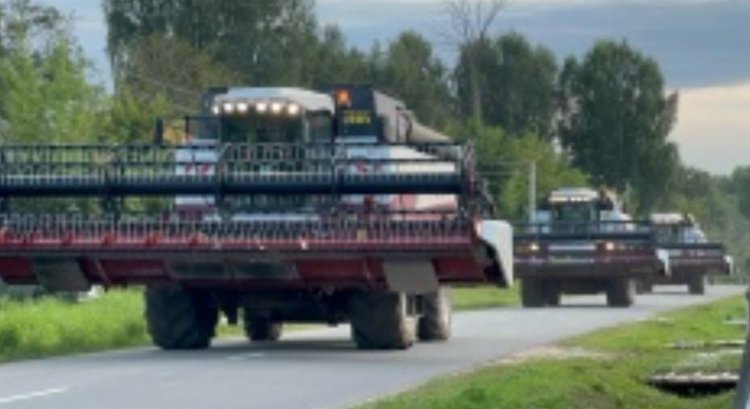 Удмуртия: по итогам уборочной 2025 урожайность зерновых на пятилетнем максимуме