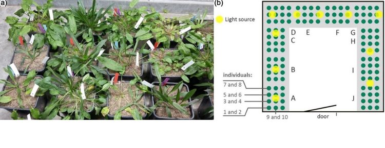 Корни растений следует учитывать в климатически оптимизированном управления земельными ресурсами
