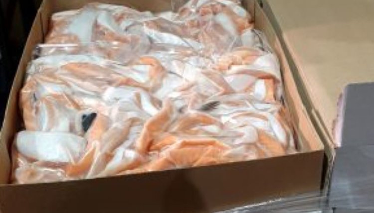 Партию обрези лососевых из Беларуси заблокировали в Смоленской области