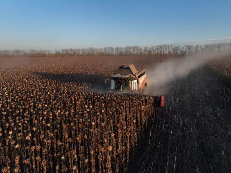 К 17 октября урожай масличных в Башкортостане превысил общий объём прошлогодней уборочной кампании