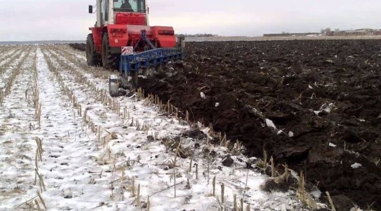 Сидеральные пары: опыт ЗАО «Тельминское»