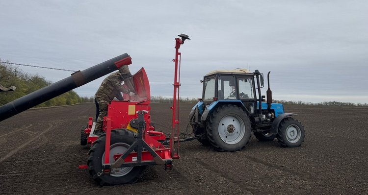 Ростовские аграрии завершают посев озимых культур 2025
