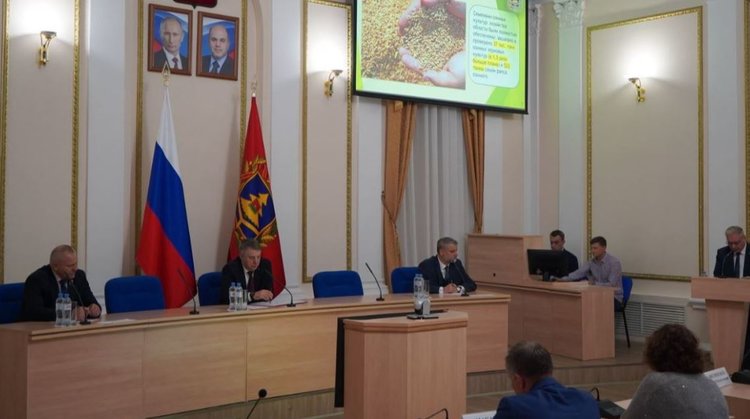 Брянские аграрии ожидают собрать в 2026 году по 60 центнеров с га озимого рапса