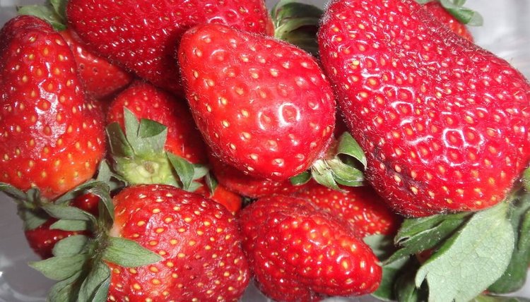 Волгоградская область завершает ягодный сезон 2025: клубника снова королева