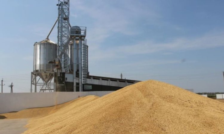 Долгосрочное хранение зерна: важность охлаждения