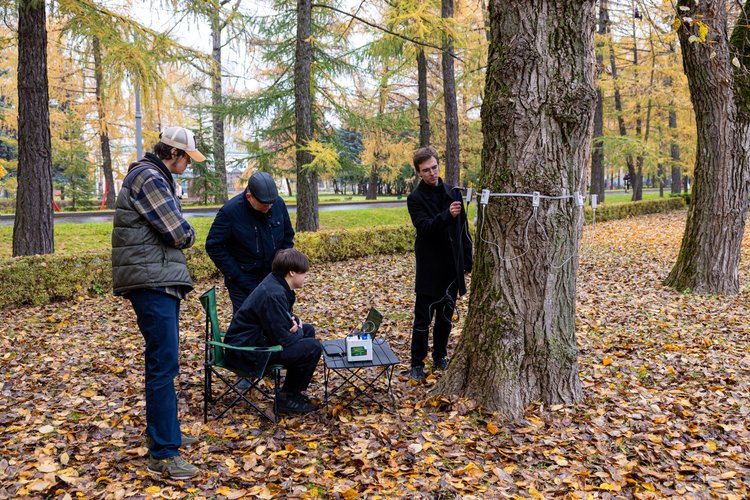 Учёные Тимирязевки применяют звуковую томографию для диагностики деревьев