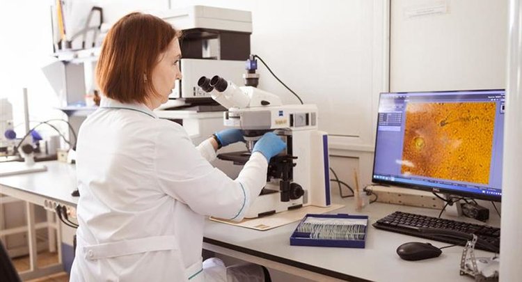 Опаснейший из трипсов заразил 22 тонны казахстанского лука