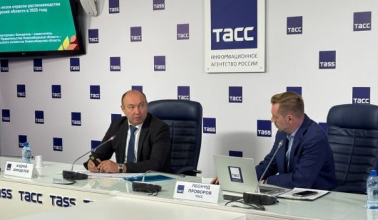 Новосибирские аграрии добиваются успеха в зерновом производстве и сохраняют здоровье почв