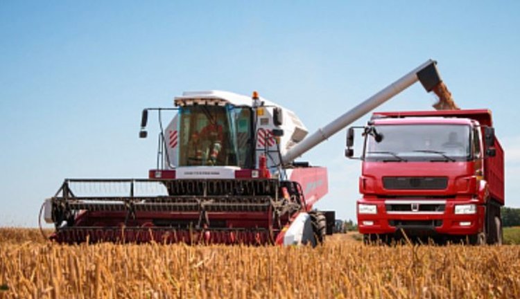 Российский урожай зерна к финалу уборочной перевалил за 135 млн тонн