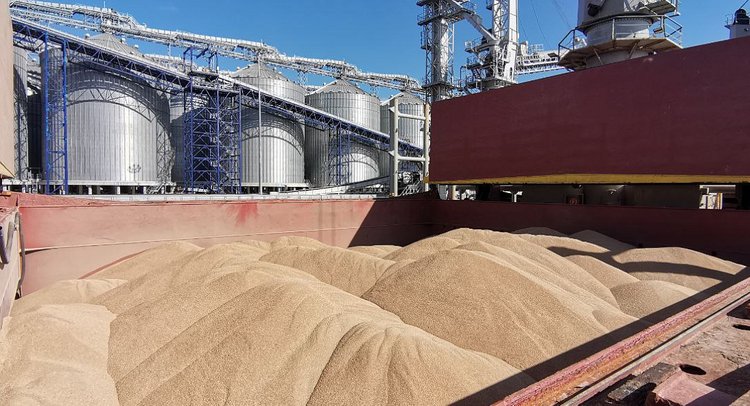 Наблюдается тенденция к восстановлению прежних объемов поставок российского зерна в Иорданию