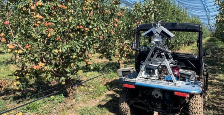 Садовый робот-картограф помогает точно прогнозировать урожай
