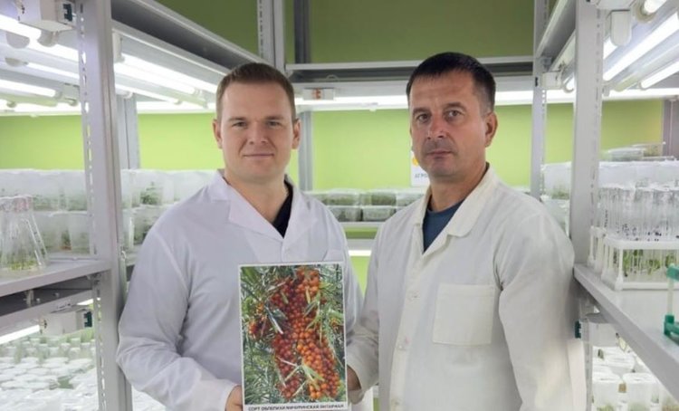 К юбилею Мичурина тамбовские селекционеры презентовали 23 новых сорта ягодных культур