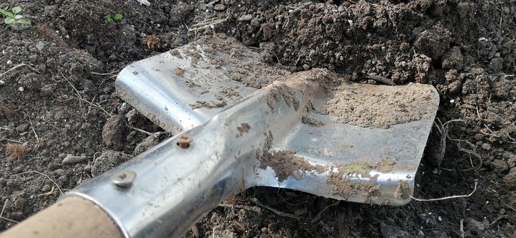 Известкование почвы в саду и огороде: полный курс - фото