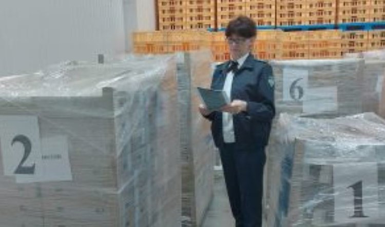 Впечатляющий рост экспорт молочки показала Орловская область - фото